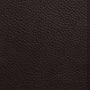 ESV Pocket Bible (Buffalo Leather, Deep Brown)