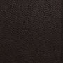 ESV Pocket Bible (Buffalo Leather, Deep Brown)