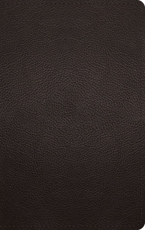ESV Large Print Personal Size Bible (Buffalo Leather, Deep Brown)