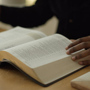 ESV Study Bible (Buffalo Leather, Deep Brown)
