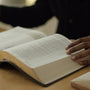ESV Study Bible (Buffalo Leather, Deep Brown)