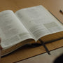 ESV Study Bible (Buffalo Leather, Deep Brown)