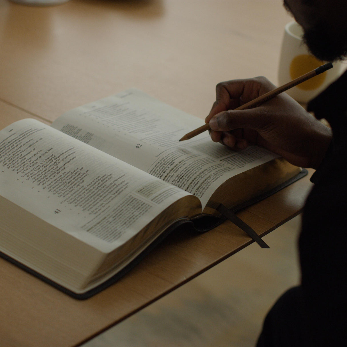 ESV Study Bible (Buffalo Leather, Deep Brown)