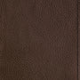 ESV Women's Study Bible (British Tan)