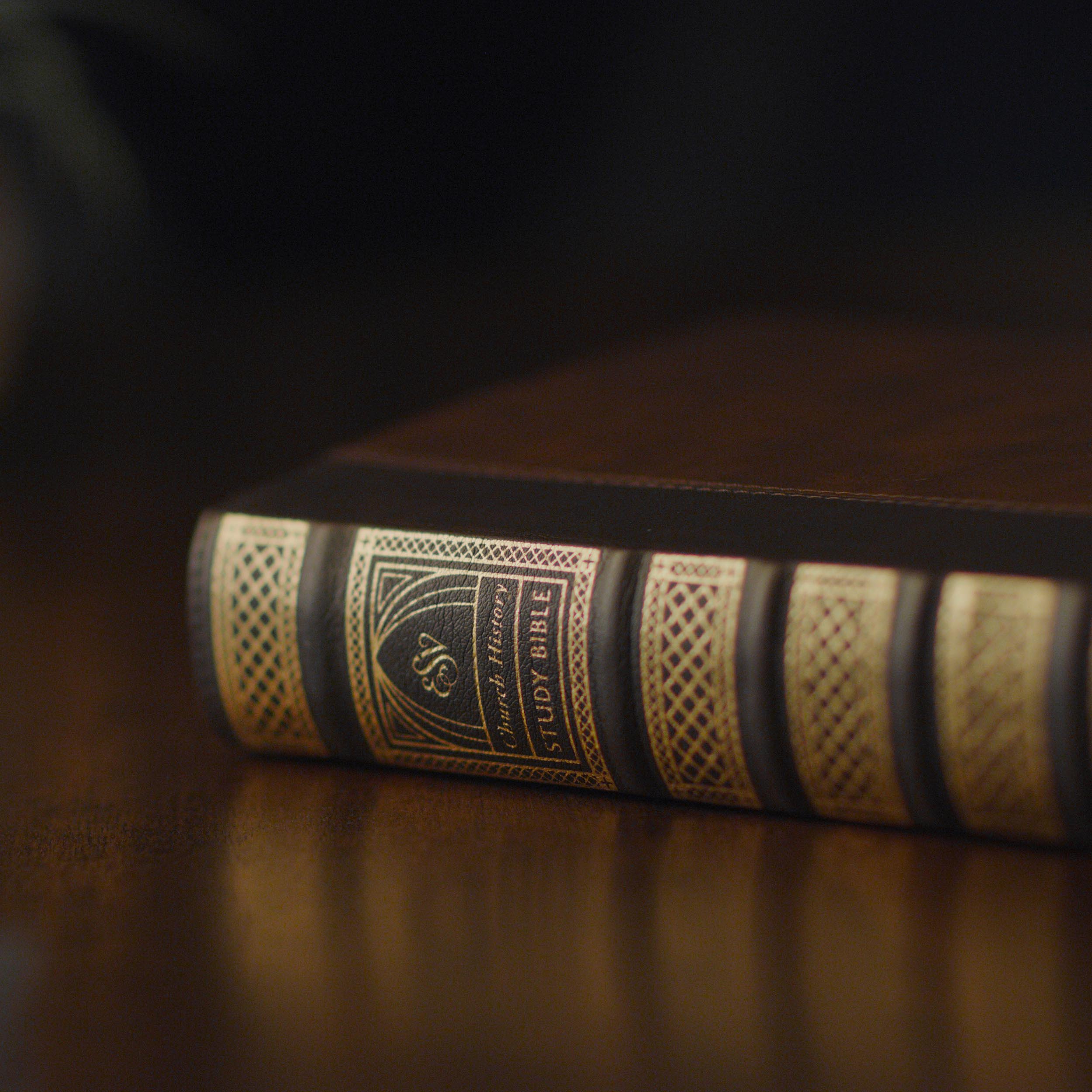 ESV Church History Study Bible: (Trutone, Brown/Walnut, Timeless Desig ...