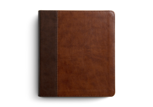 ESV Journaling Bible (Trutone, Brown/Tan, Timeless Design)