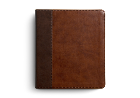 ESV Journaling Bible (Trutone, Brown/Tan, Timeless Design)