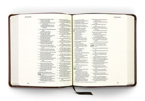 ESV Journaling Bible (Trutone, Brown/Tan, Timeless Design)