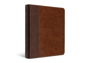 ESV Journaling Bible (Trutone, Brown/Tan, Timeless Design)
