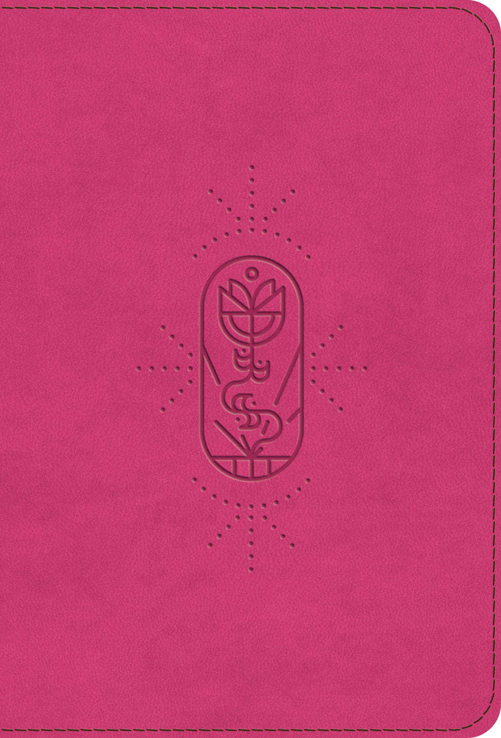 ESV Kid's Bible, Compact (Trutone, Berry, the True Vine Design)
