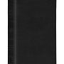 ESV Large Print Compact Bible (Trutone, Black)