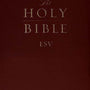 ESV Gift and Award Bible (Imitation Leather, Burgundy, Red Letter) cover image (1023771639855)