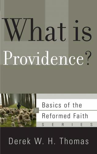 What Is Providence? (Basics of the Faith)