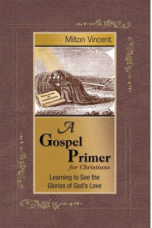 A Gospel Primer for Christians: Learning to See the Glories of