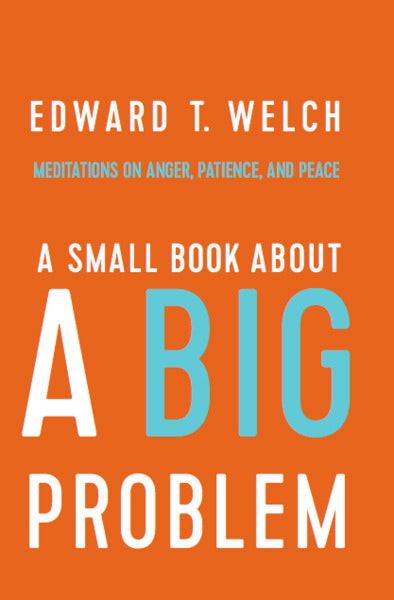 A Small Book about a Big Problem: Meditations on Anger, Patience, and Peace