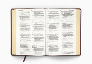 ESV Large Print Bible (Trutone, Deep Brown)