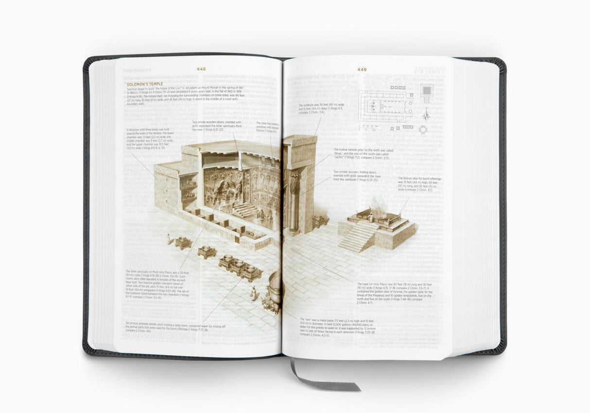 ESV Student Study Bible (TruTone, Gray)