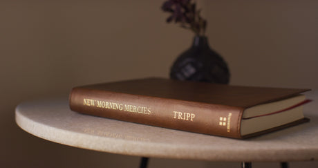 New Morning Mercies: A Daily Gospel Devotional (Trutone, Brown)