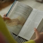 ESV Seek and Find Bible
