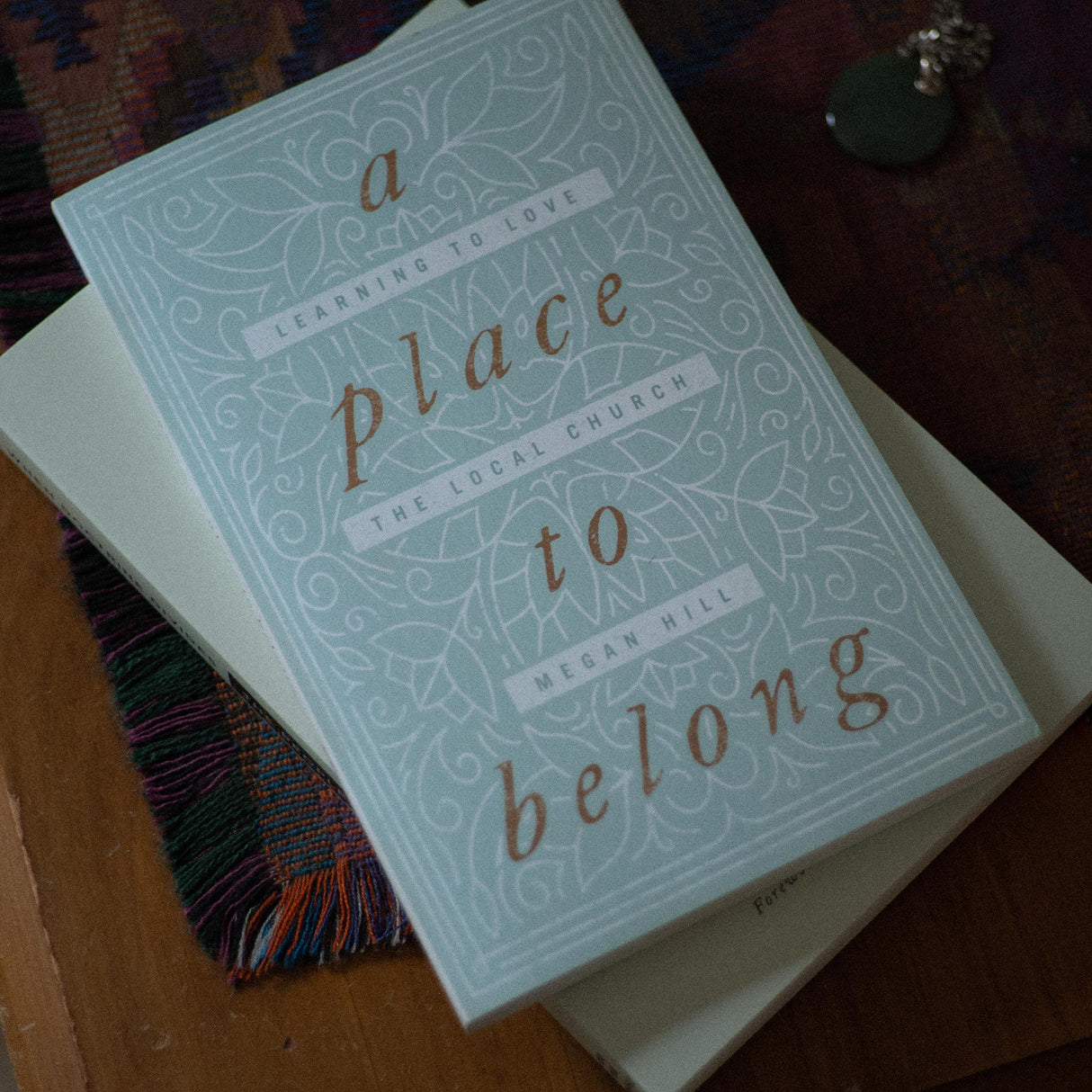 A Place to Belong: Learning to Love the Local Church