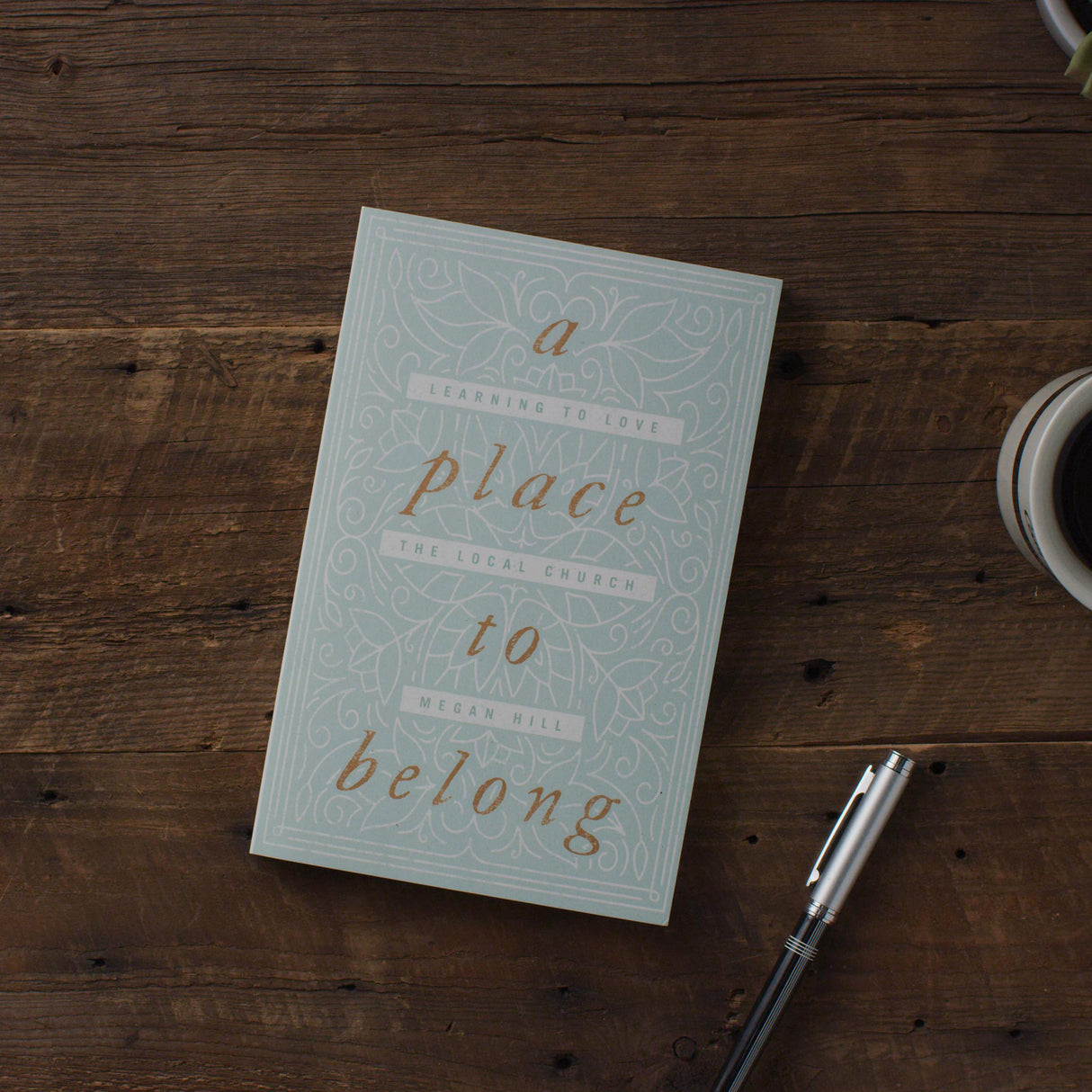 A Place to Belong: Learning to Love the Local Church
