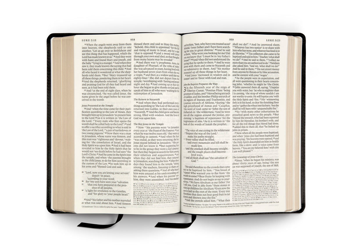 ESV Bible with Creeds and Confessions (TruTone, Black)
