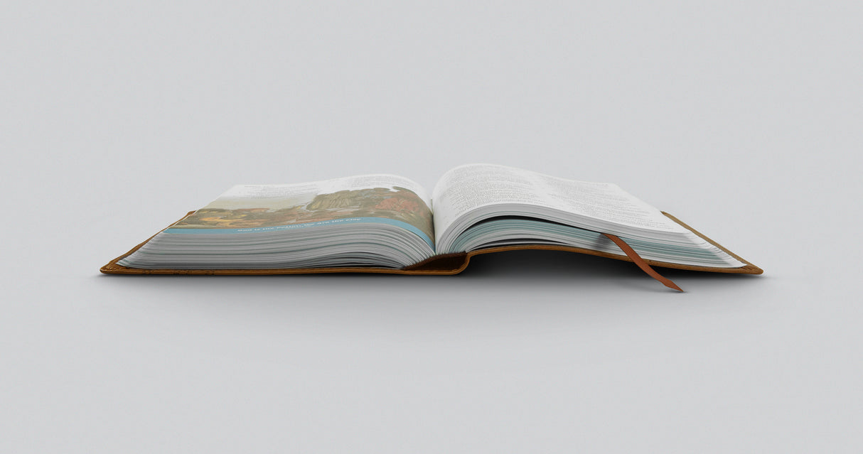 ESV Children's Bible (Trutone, Brown, Let the Children Come Design)