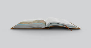 ESV Children's Bible (Trutone, Brown, Let the Children Come Design)