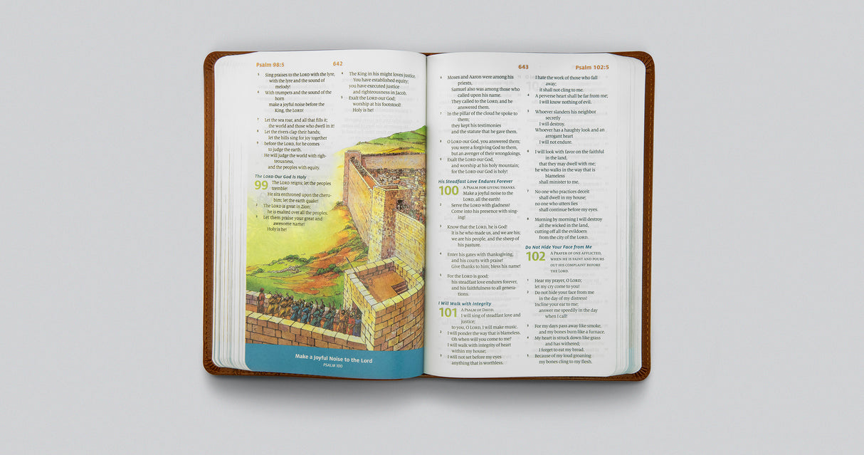 ESV Children's Bible (Trutone, Brown, Let the Children Come Design)