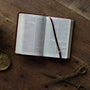 ESV Compact Bible (Trutone, Mahogany, Border Design)