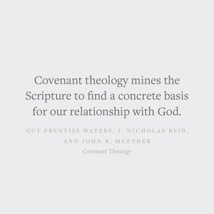 Covenant Theology: Biblical, Theological, and Historical Perspectives