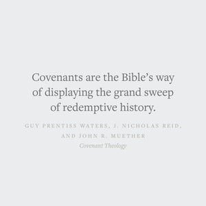 Covenant Theology: Biblical, Theological, and Historical Perspectives