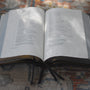 ESV Heirloom Single Column Legacy Bible (Goatskin, Blue)