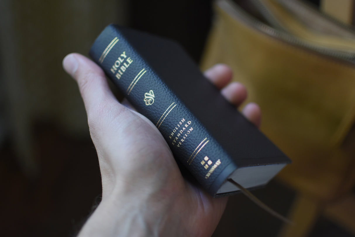 ESV Pocket Bible (Buffalo Leather, Deep Brown)