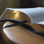 ESV Study Bible (TruTone, Deep Brown)