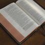 ESV Preaching Bible, Verse-By-Verse Edition (Goatskin, Black)