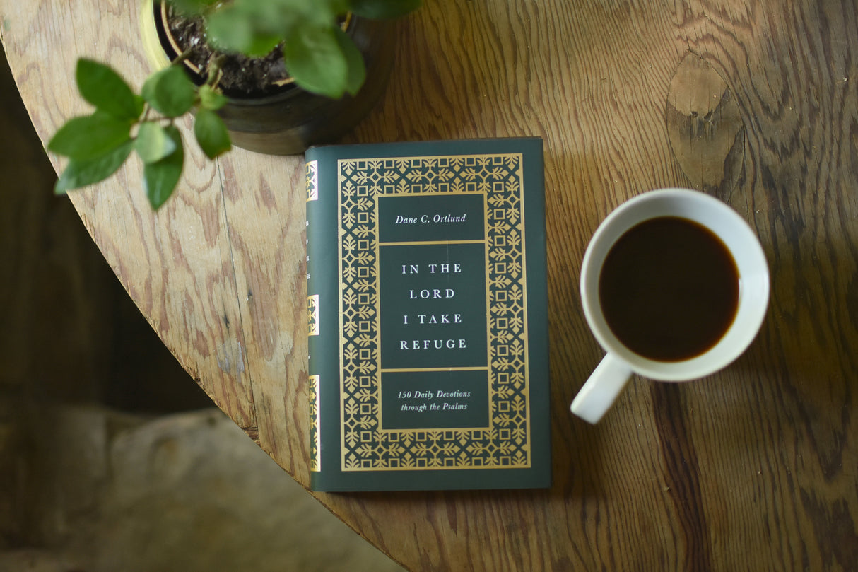 In the Lord I Take Refuge: 150 Daily Devotions Through the Psalms