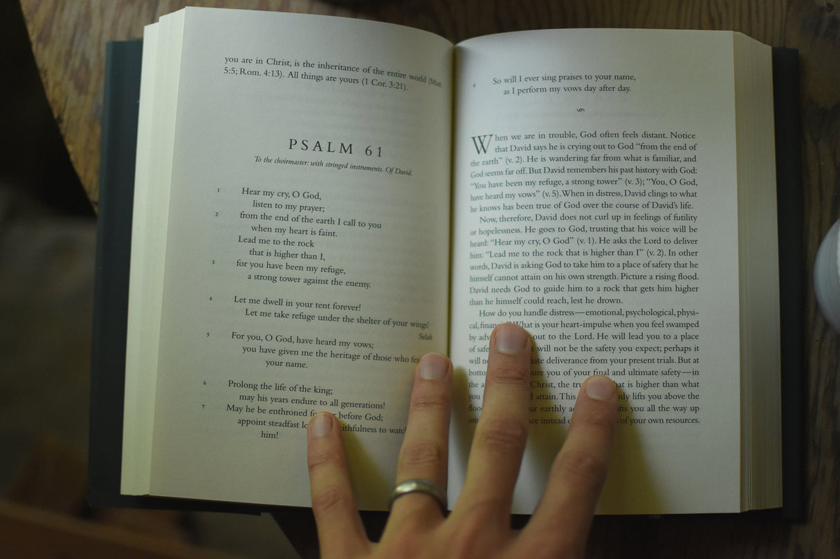 In the Lord I Take Refuge: 150 Daily Devotions Through the Psalms