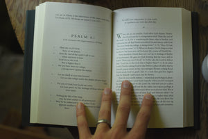 In the Lord I Take Refuge: 150 Daily Devotions Through the Psalms
