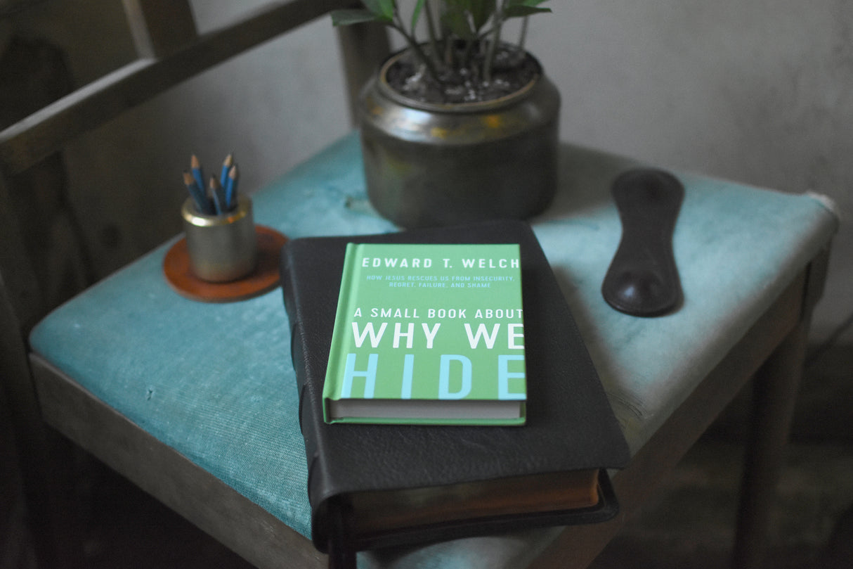 A Small Book About Why We Hide