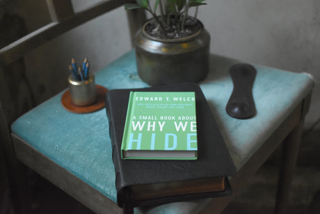 A Small Book About Why We Hide