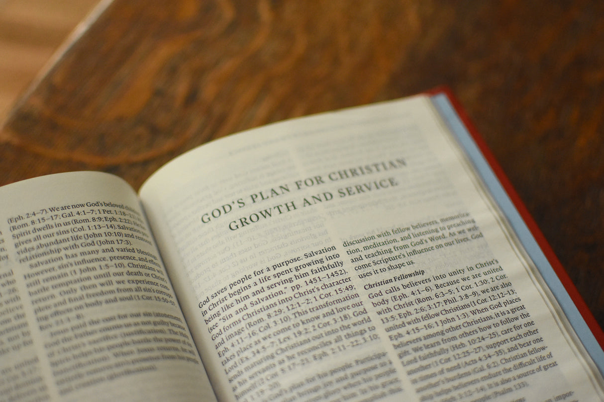 ESV Concise Study Bible, Economy Edition