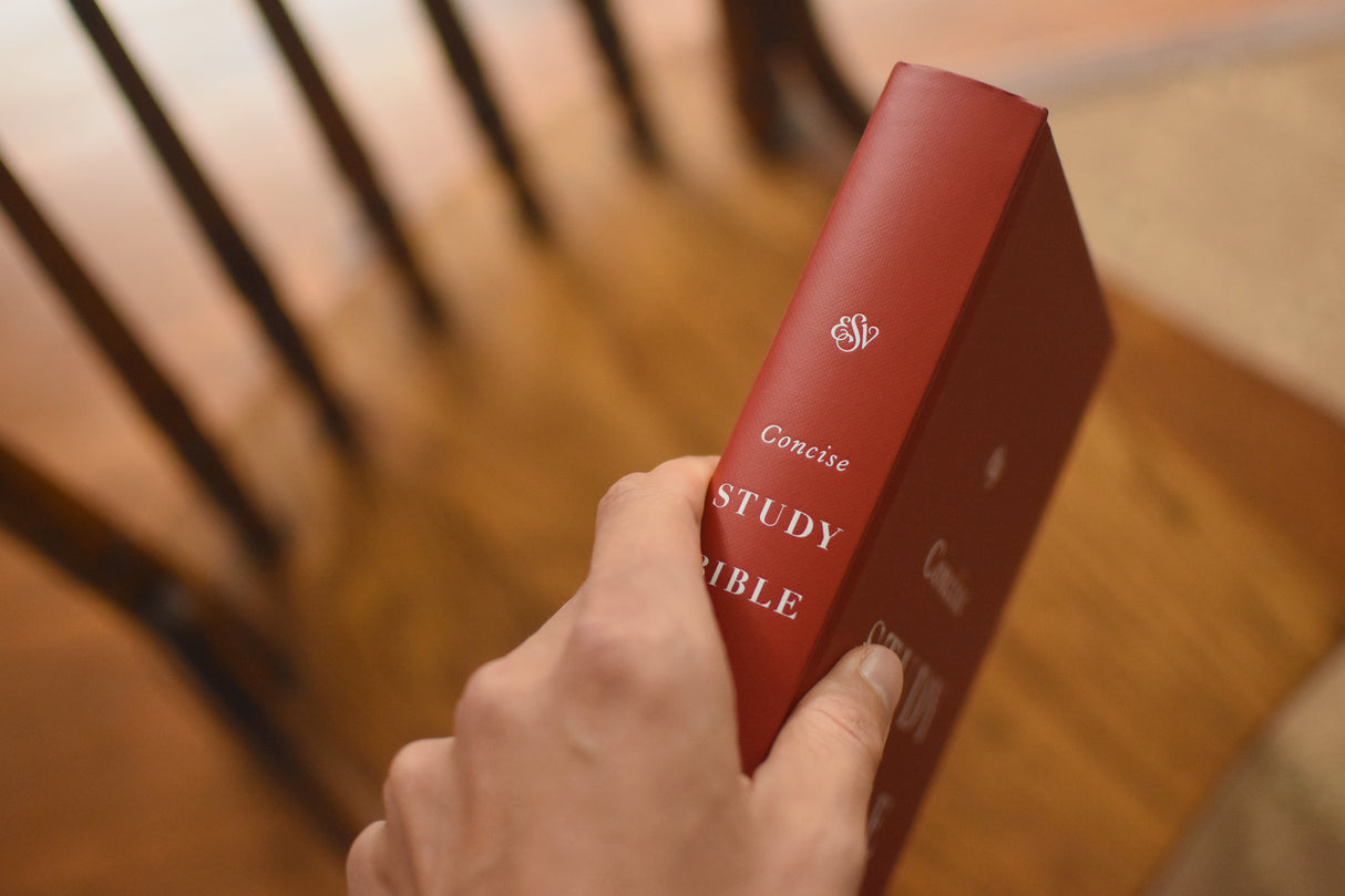 ESV Concise Study Bible (Hardcover)