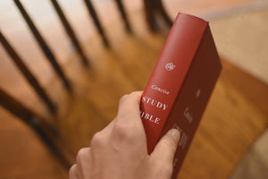 ESV Concise Study Bible (Hardcover)