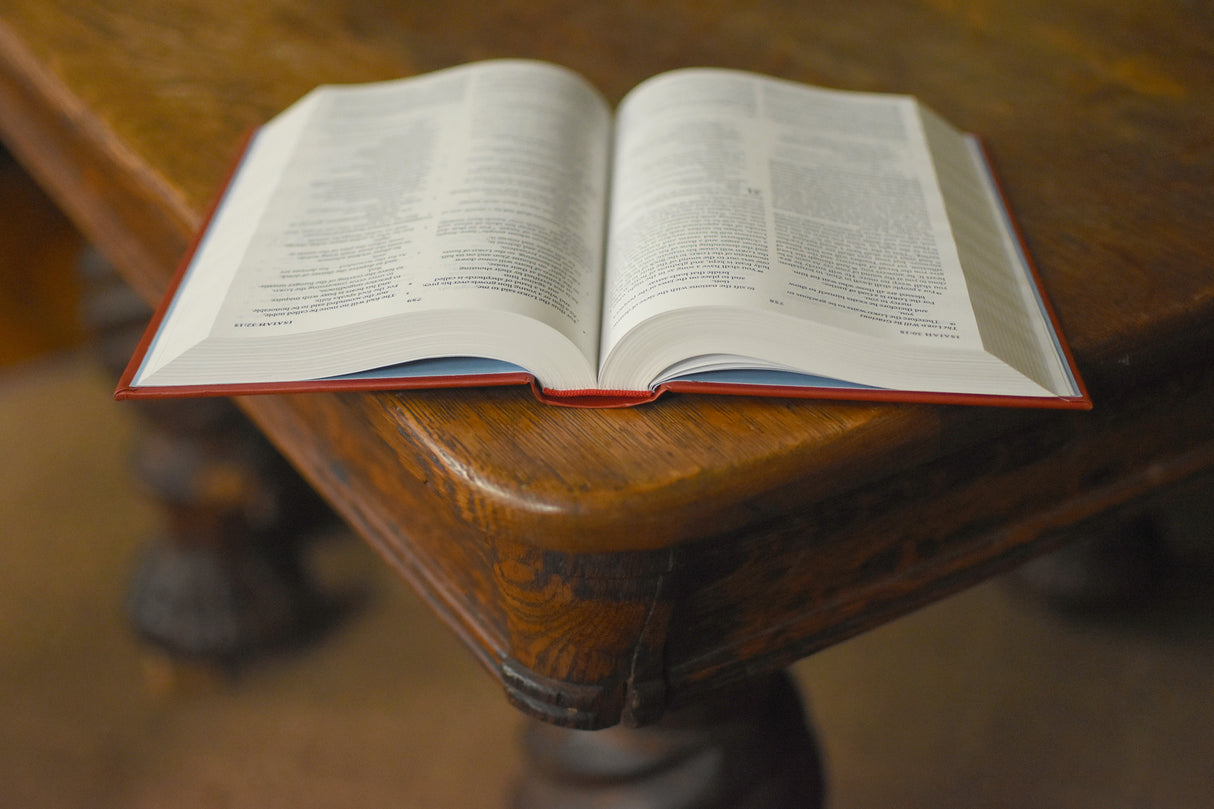 ESV Concise Study Bible (Hardcover)