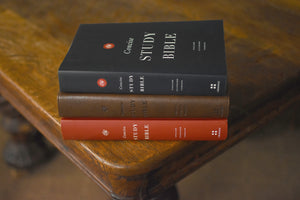 ESV Concise Study Bible, Economy Edition