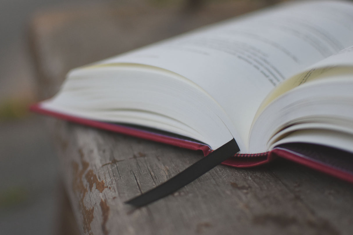 Creeds, Confessions, and Catechisms: A Reader's Edition