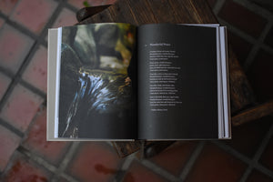 Songs of Suffering: 25 Hymns and Devotions for Weary Souls