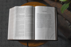 ESV Church History Study Bible (Black Leather)