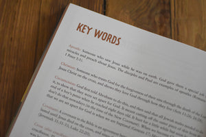 66 Books: One Story: A Guide to Every Book of the Bible
